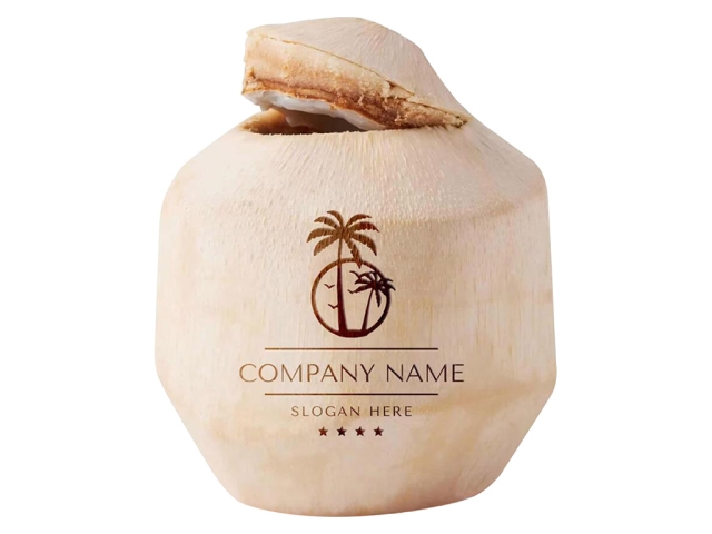 CO2 激光打標(biāo)機在新鮮椰子上 DIY 定制徽標(biāo)