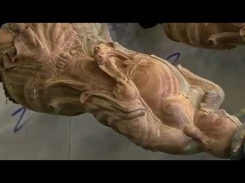 2025最佳多頭數(shù)控多主軸雕刻機(jī)